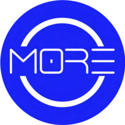 More Inspection International