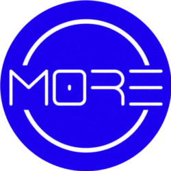 More Inspection International