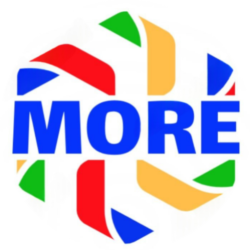 More Inspection International