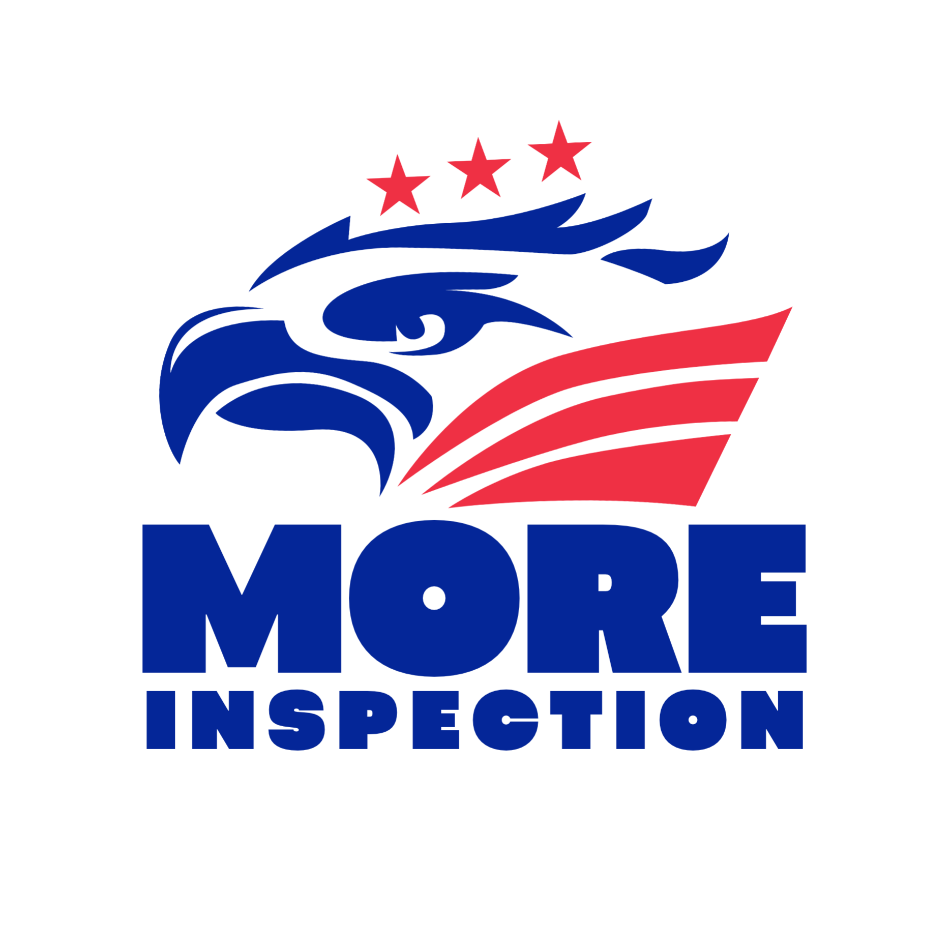 More Inspection  International Services